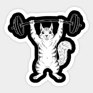 Squirrel Lifting Weights Gym Humor Workout Sticker